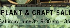 Join us in the backyard!